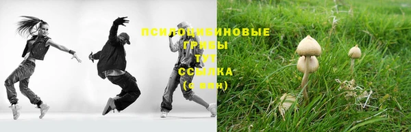 мяу мяу мука Каменногорск