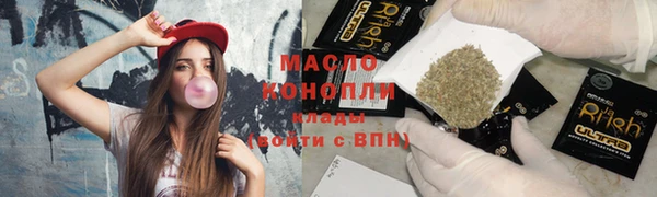 стаф Каменка