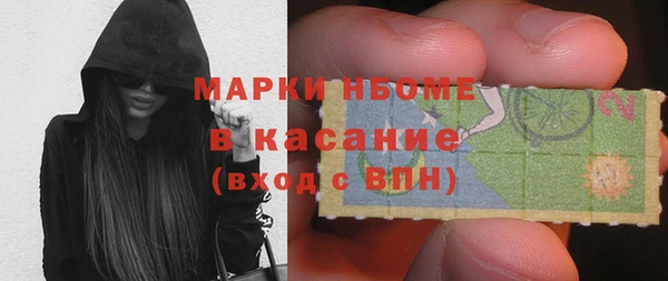 стаф Каменка