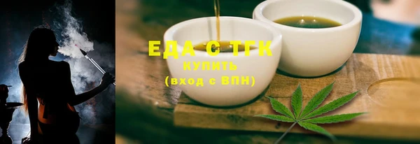 стаф Каменка