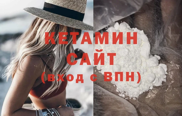 стаф Каменка