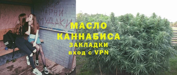 стаф Каменка