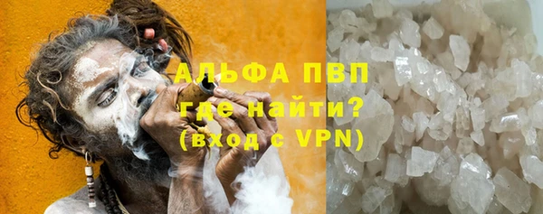 стаф Каменка