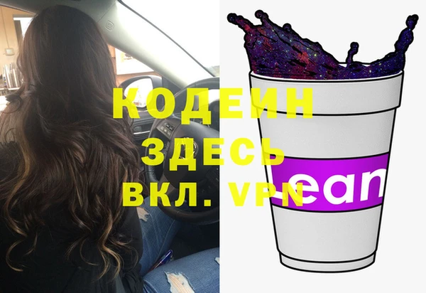 стаф Каменка