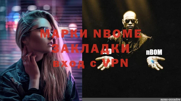 стаф Каменка