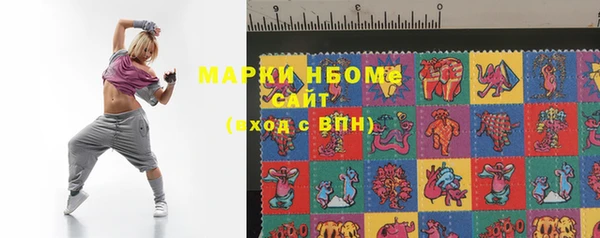 стаф Каменка